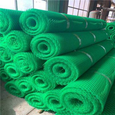 绿色植被网 河池华谊植草网与三维土工网垫的厂家直发优势